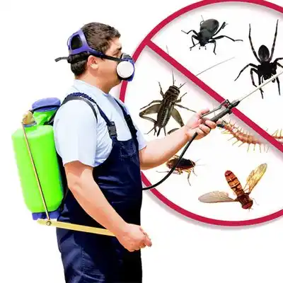 pest control Grand Ledge